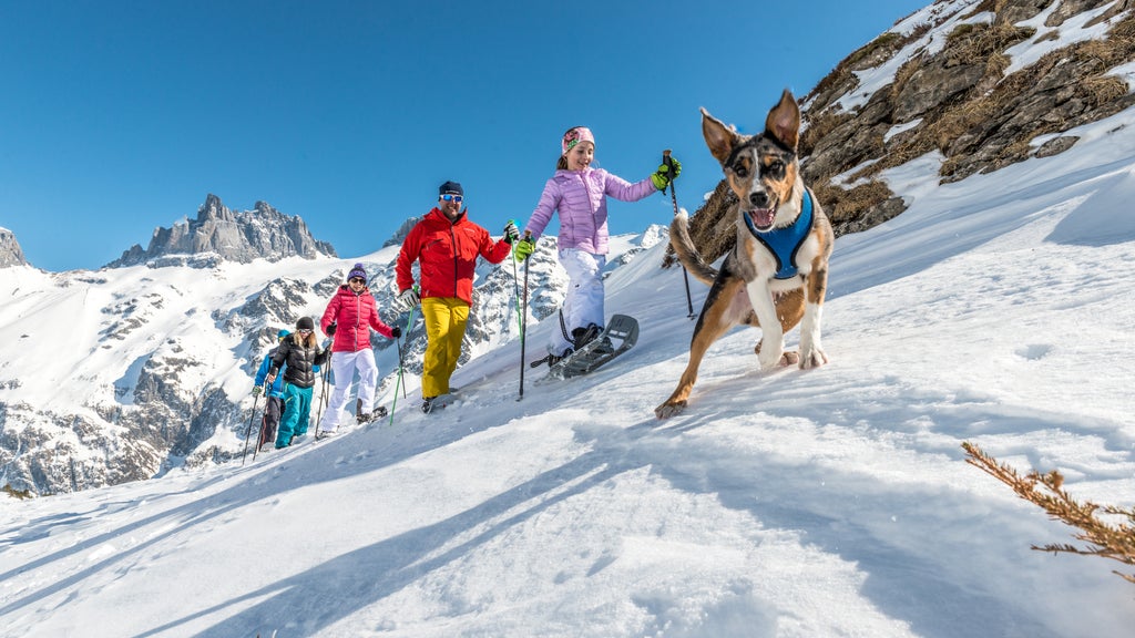 Engelberg_Fürenalp Snowshoeing Group_(c): Engelberg-Titlis