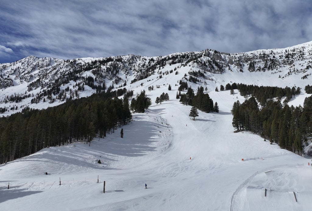 Aerial Bridger bowl