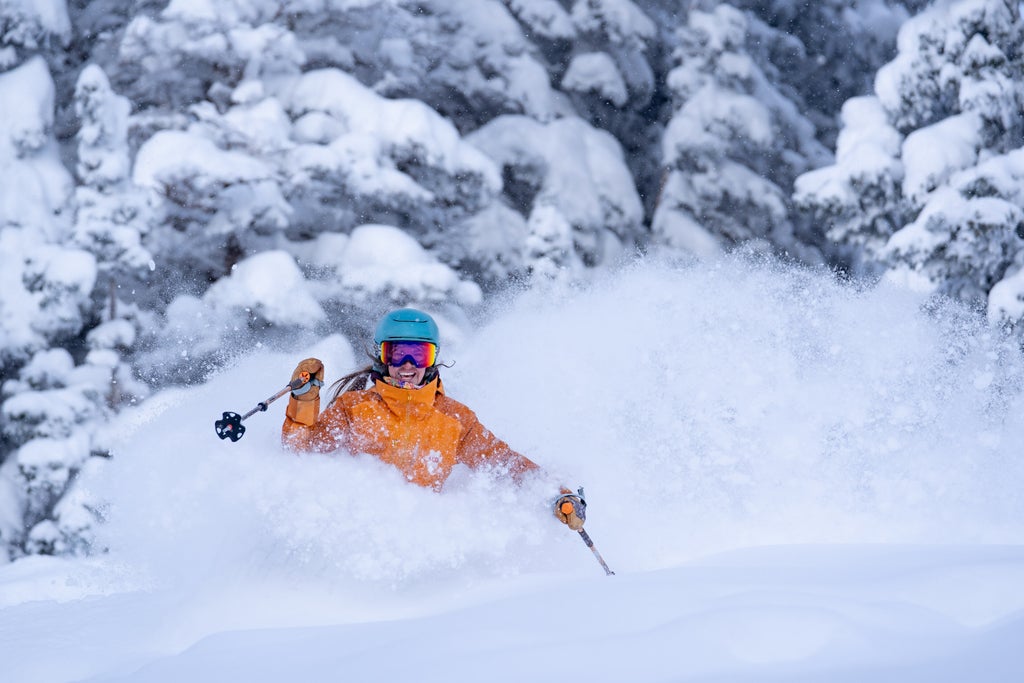 Alta Ski Area, Utah, powder