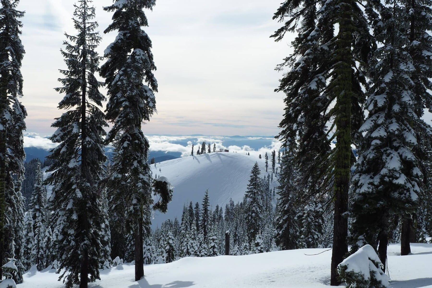 Mt. Shasta Ski Park
