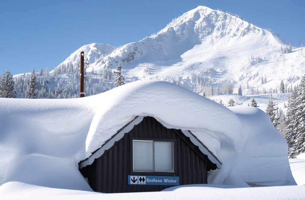 Endless-Winter Andrew-Kooyman