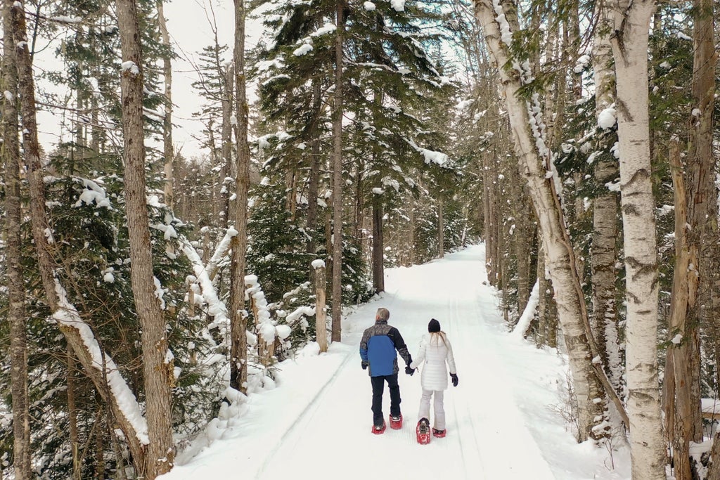 mtwash-omni-mount-washington-bretton-woods-257
