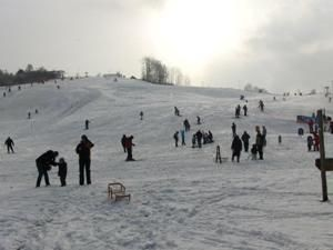 Podstolice