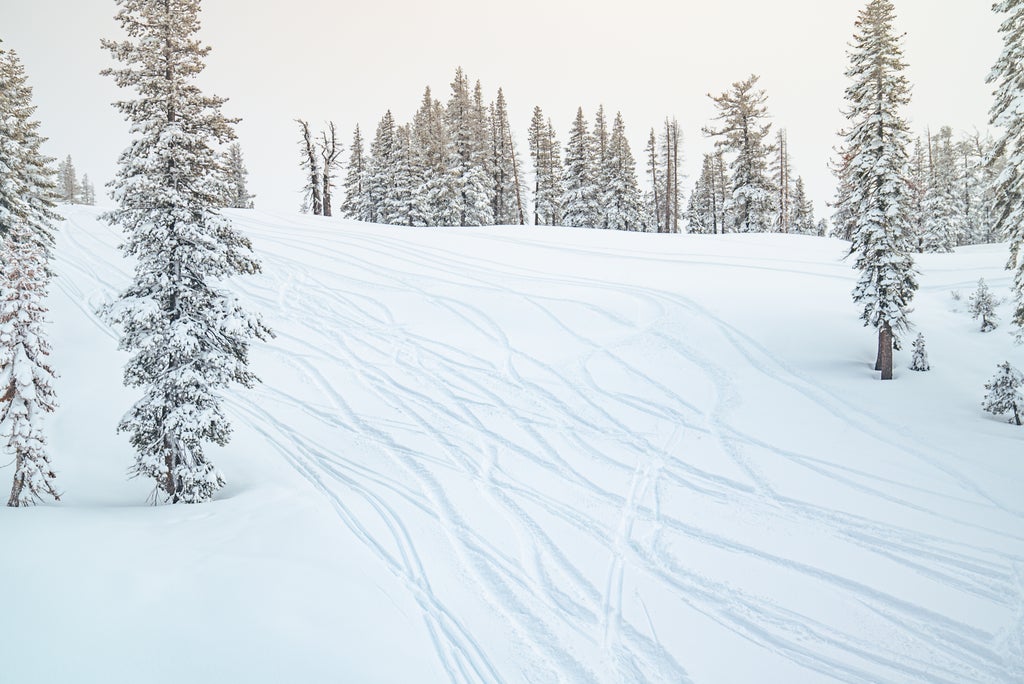 Boreal Mountain Resort_Fresh Snow_Slope Lines_(c): Boreal Mountain Resort