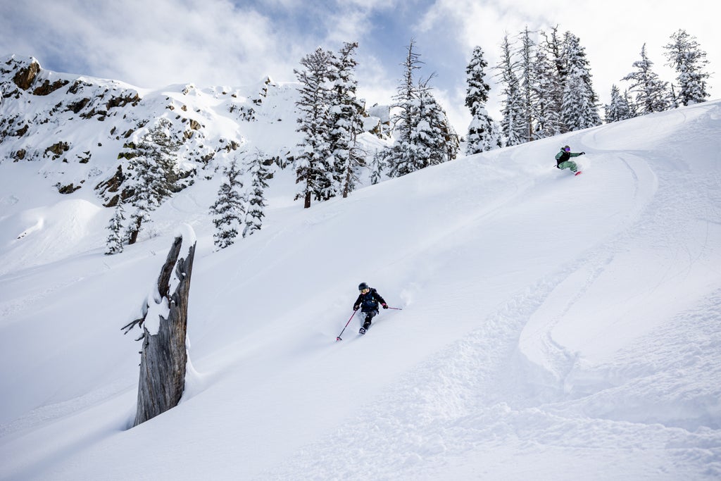 Bear Valley_Ski & Snowboard Freeride_(c): Bear Valley Mountain Resort