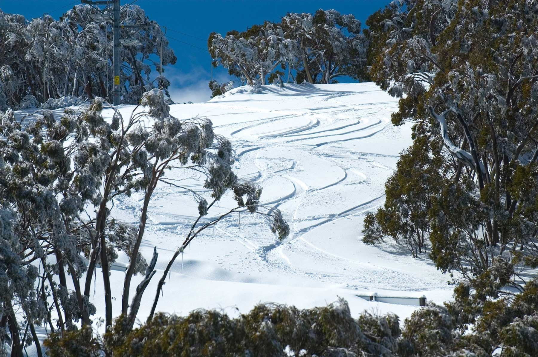 Mt. Baw Baw Alpine Resort
