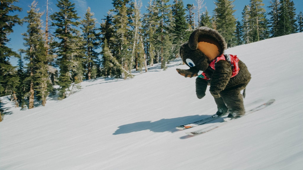 2024-03-12 MM PM SecondSeason RED 15