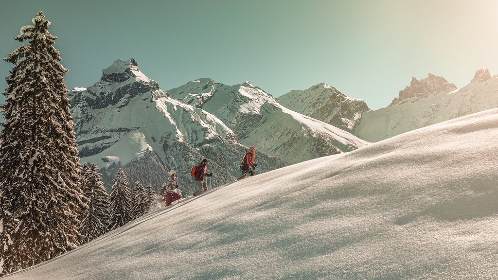 Engelberg_Snow Hikers Sunny Day_(c): Engelberg-Titlis