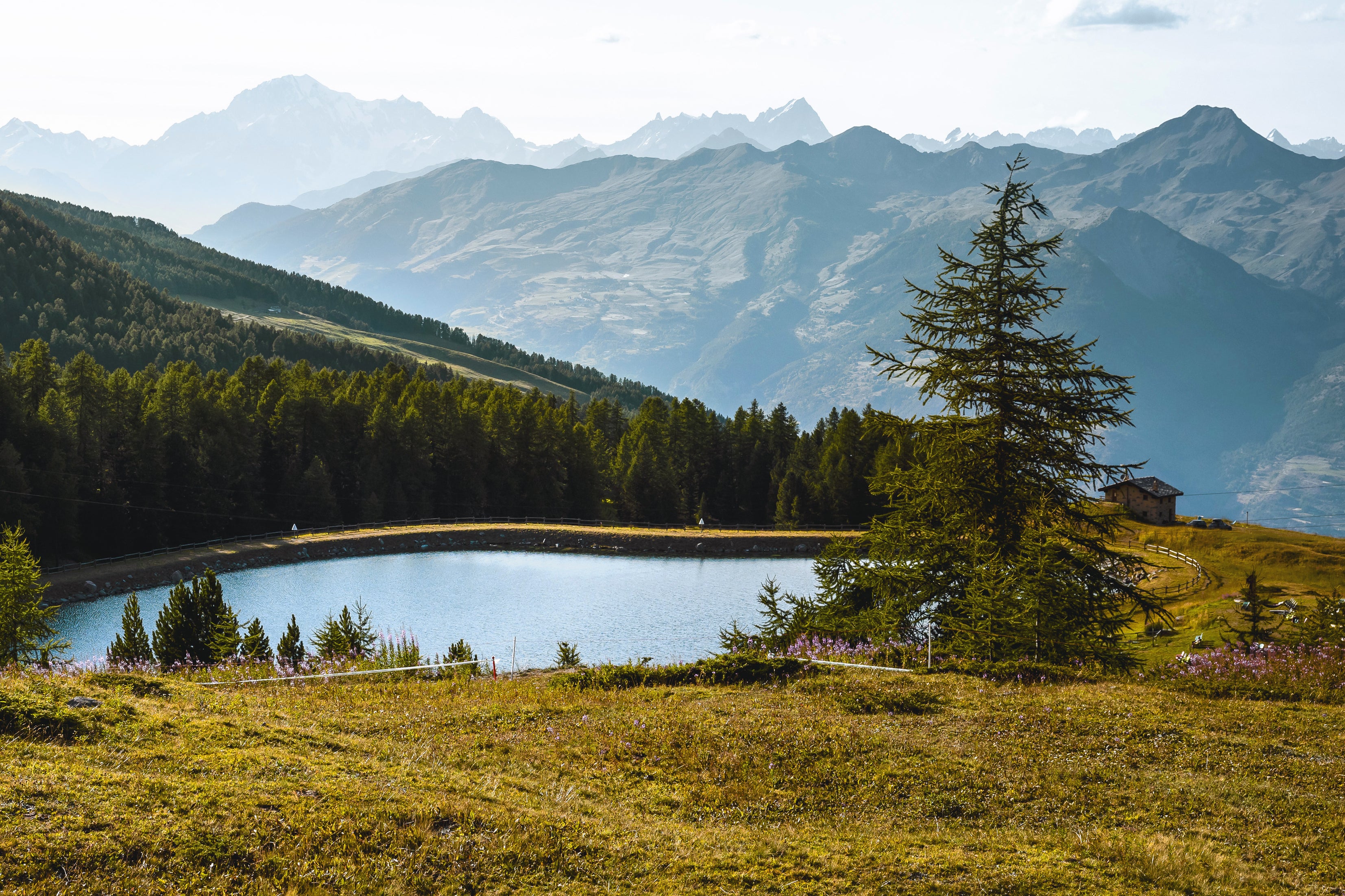 Österreichs Nationalparks: Wo Natur sich selbst gehört
