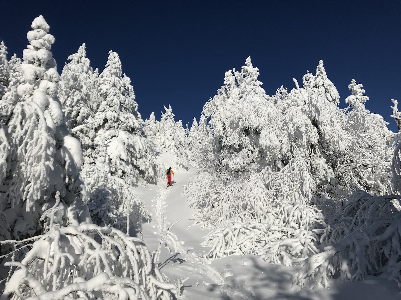 Bolton Valley Vermont alpine touring.