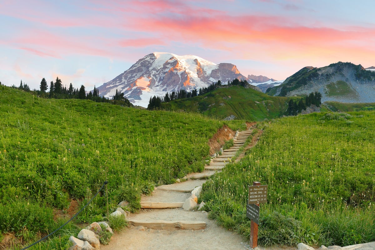 Well maintained trail that leads toward Mt. Rainier
