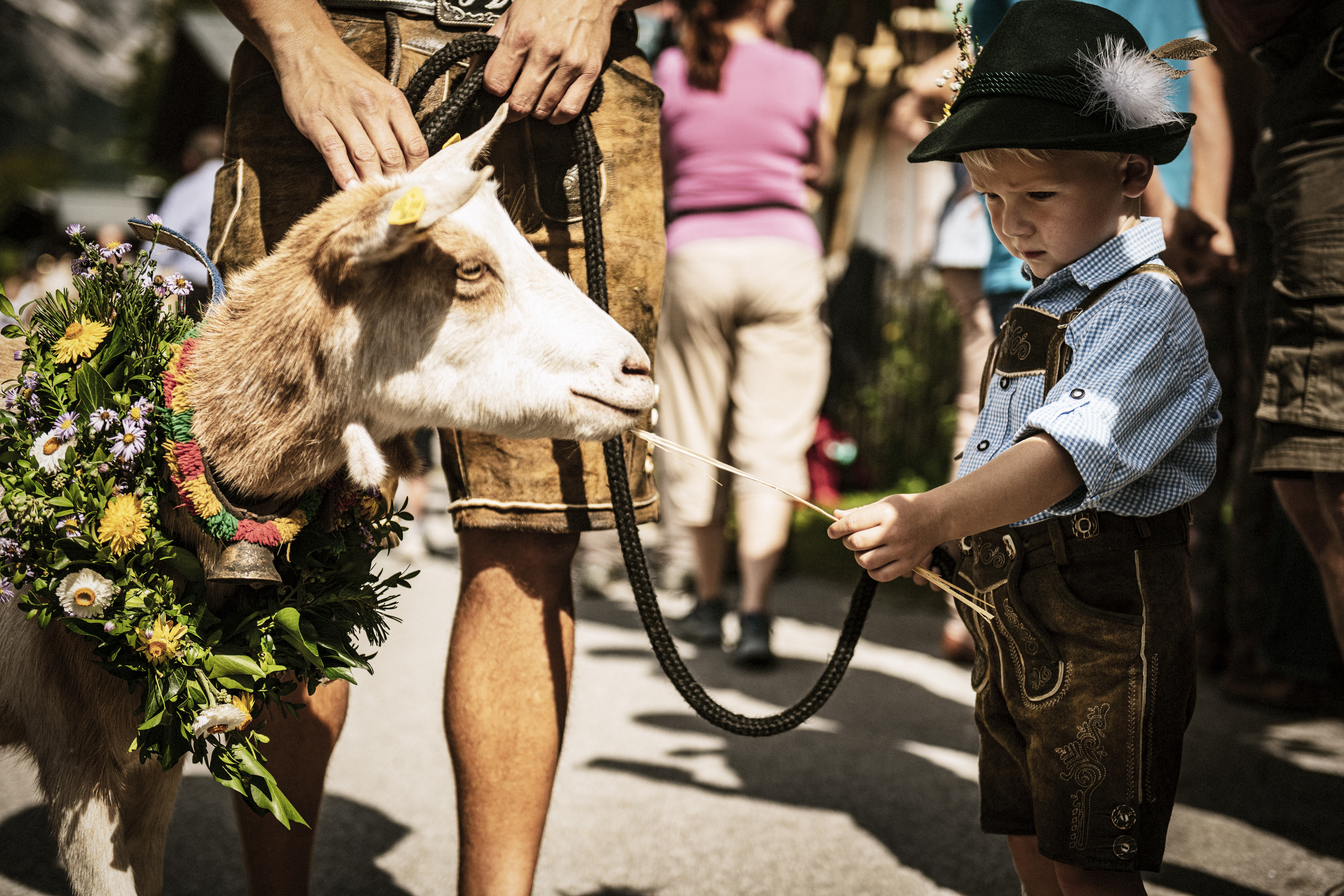    Header © SalzburgerLand Tourismus Gesponserter Beitrag – SalzburgerLand Tourismus Wenn die Wälder in leuchtenden Gold- und Rottönen erstrahlen, die ersten Erntewägen durch die Orte ziehen, die schönsten Trachten aus dem Schrank geholt werden, der Duft von frisch gebackenem Brot, Bauernkrapfen und würzigem Käse durch die Dörfer zieht, dann ist es wieder so weit: Im
