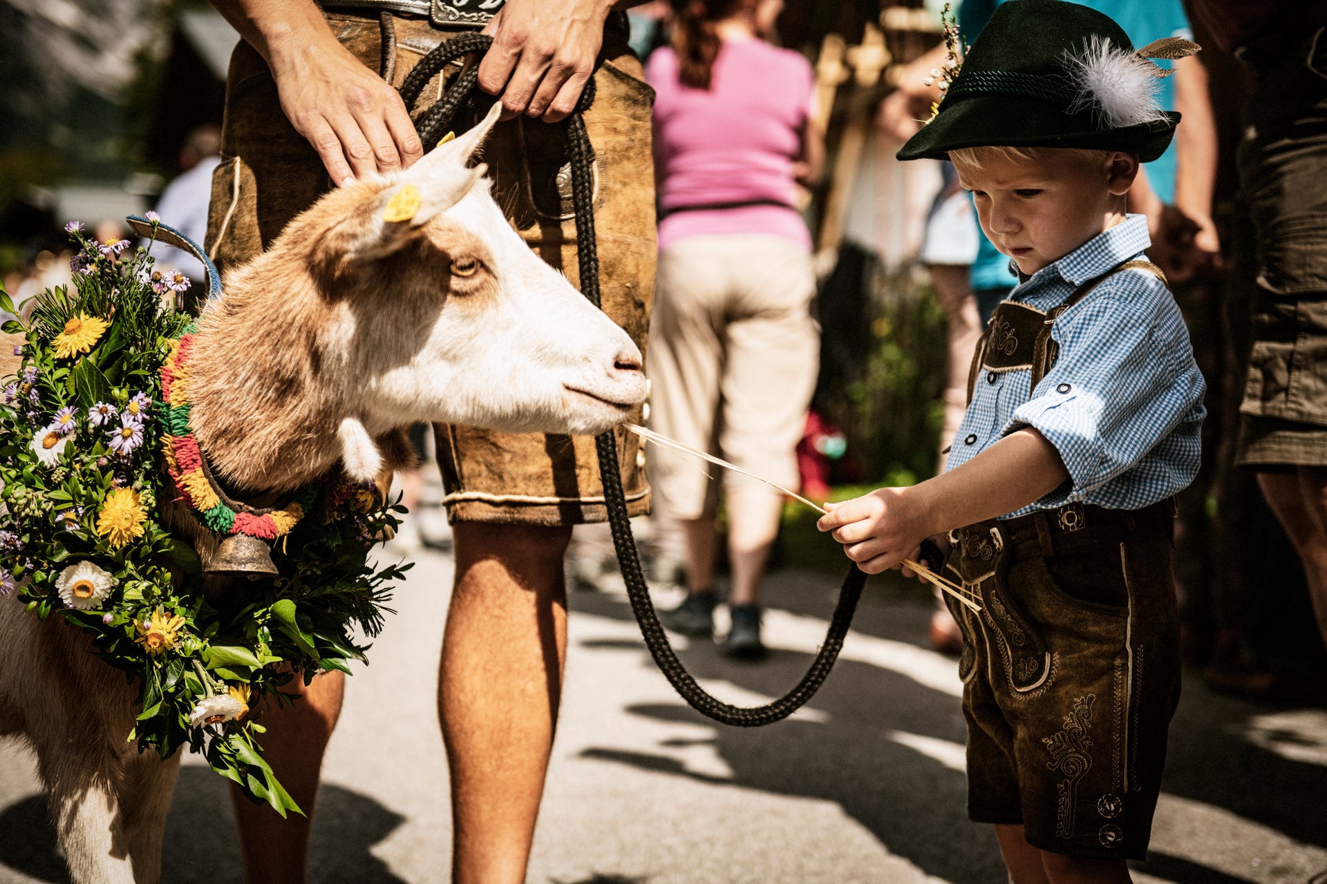 “G’sungen und G’spielt” im Bauernherbst: Ein Fest für alle Sinne “G’sungen und G’spielt” im Bauernherbst: Ein Fest für alle Sinne
