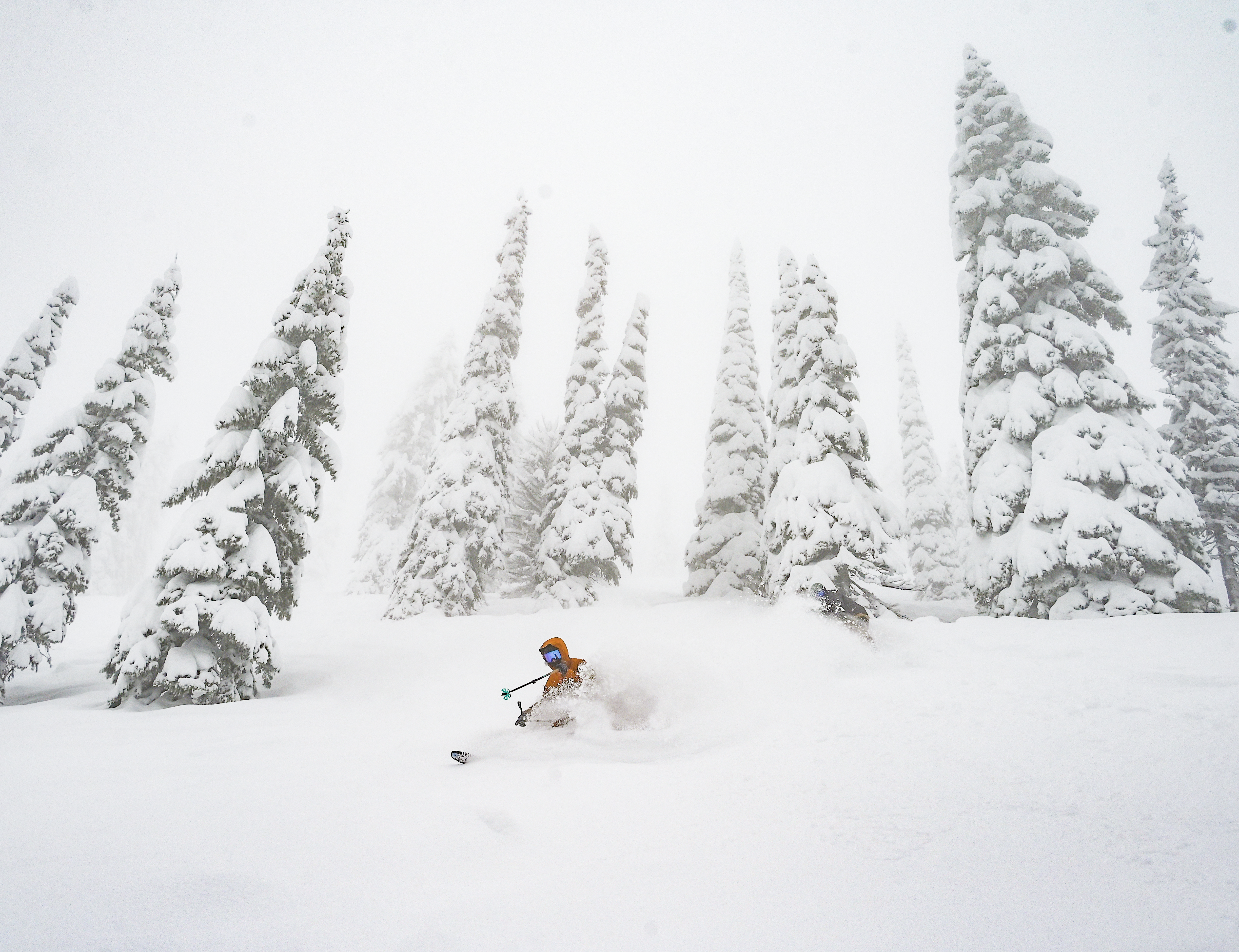 Schweitzer Ski Area, ID cat skiing.