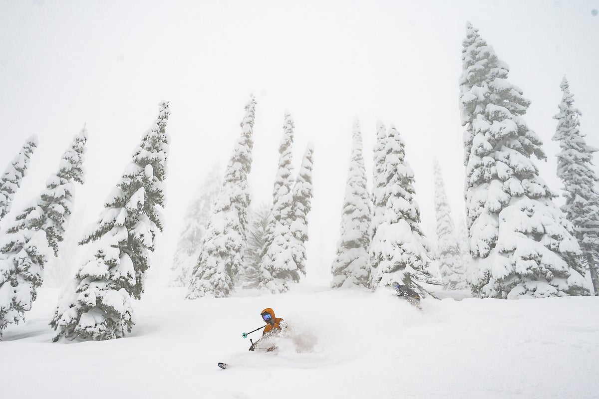 Schweitzer Ski Area, ID cat skiing.