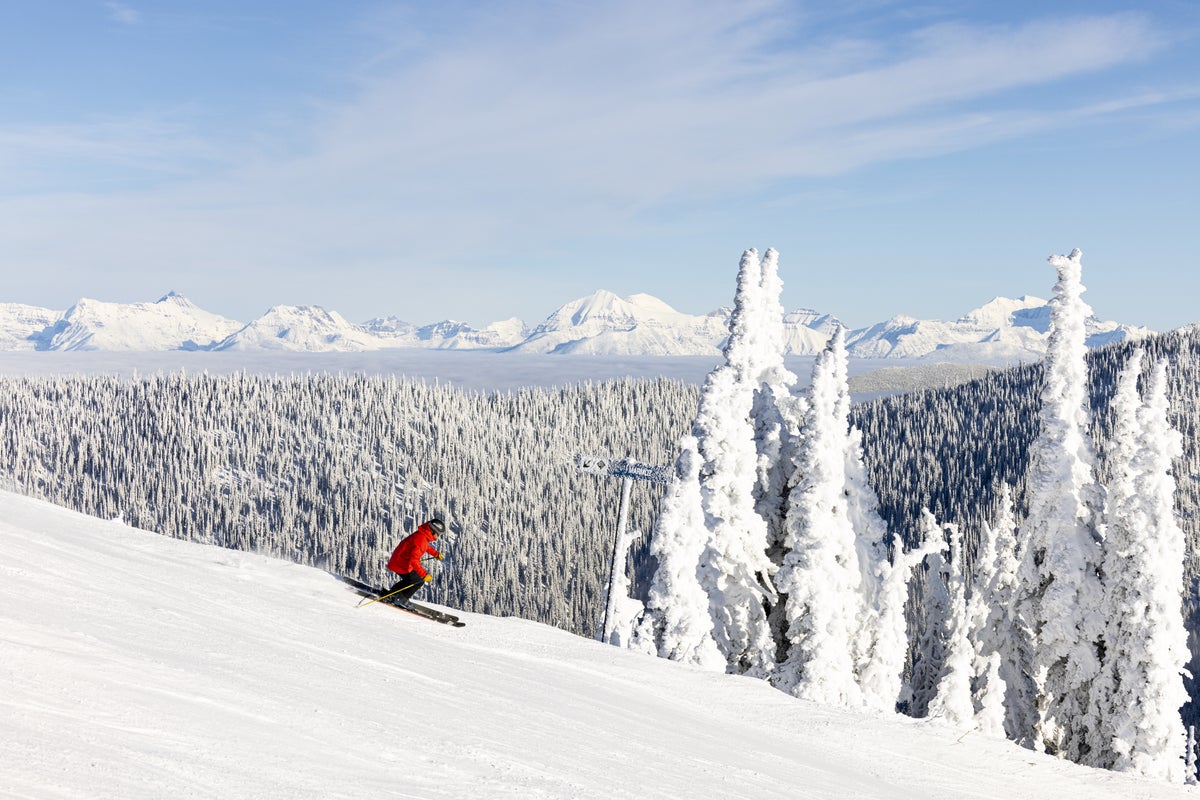 Person skiing down resort slopes on a sunny powder day with snow-covered trees and mountains behind them