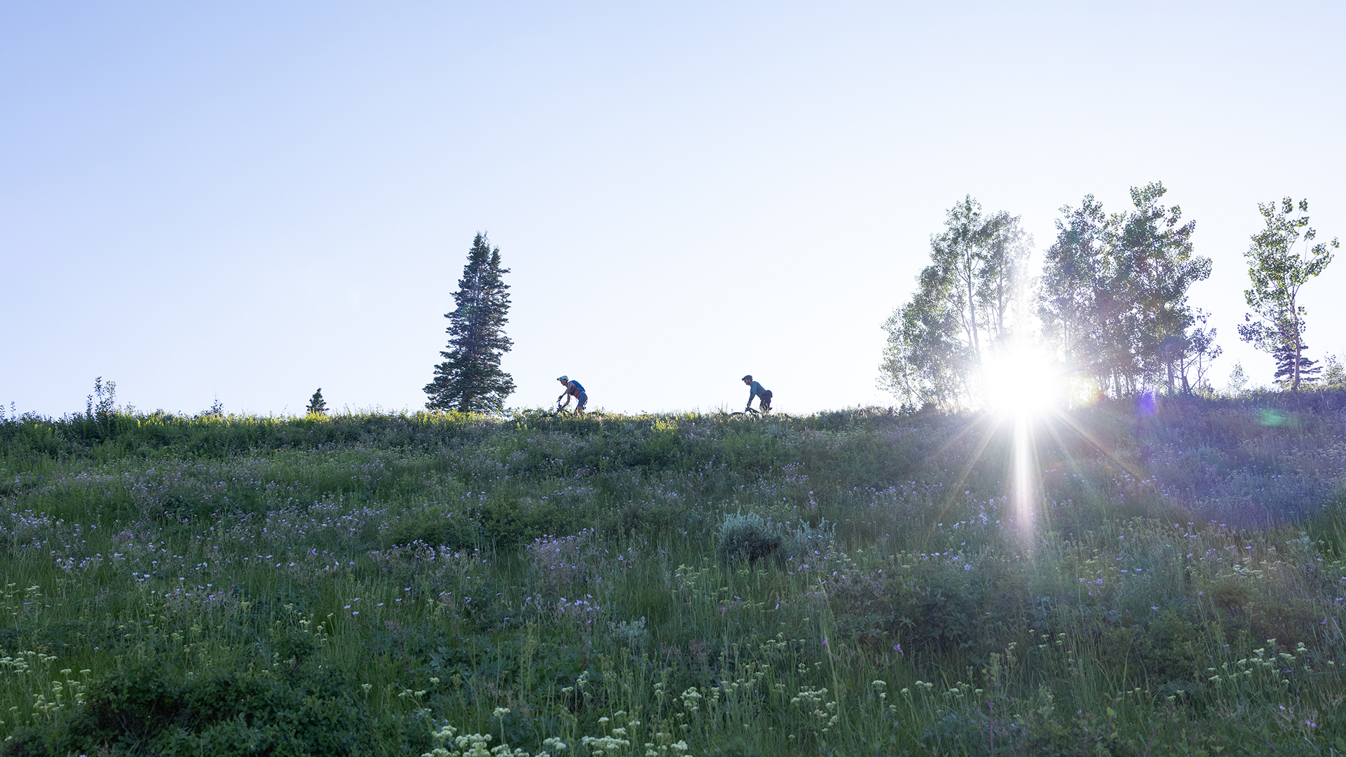 People biking on ridge as the sun beams through trees