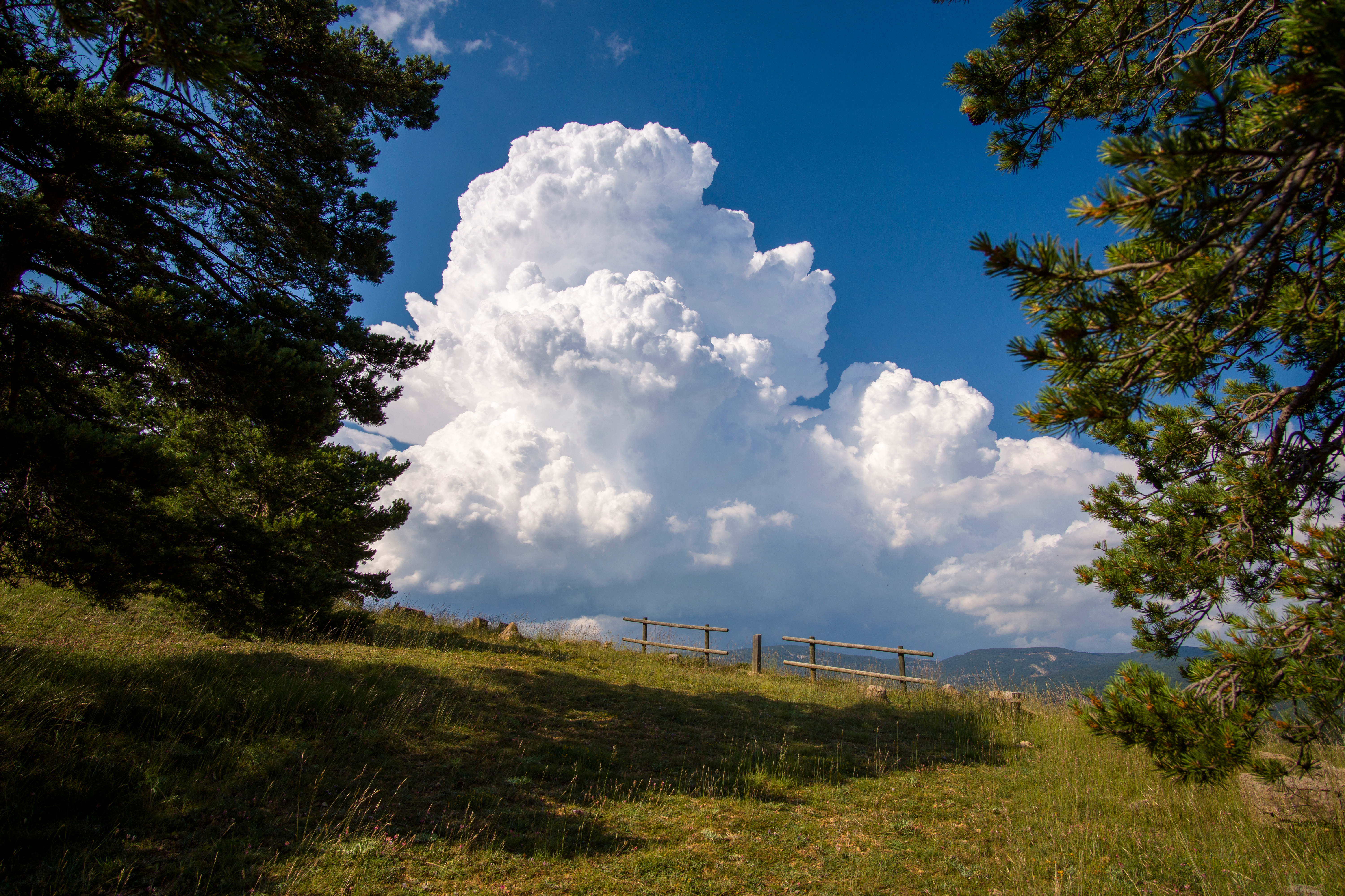 Im Sommer zieht es viele Naturfreunde in die Berge, um die Schönheit der alpinen Landschaften zu genießen. Eine Wanderung durch die beeindruckenden Bergwelten kann ein wunderbares Erlebnis sein, das Entspannung und Abenteuer zugleich bietet. Doch so idyllisch die Bergwelt auch erscheinen mag, sie birgt auch Gefahren, die nicht unterschätzt werden sollten. Eines der größten Risiken
