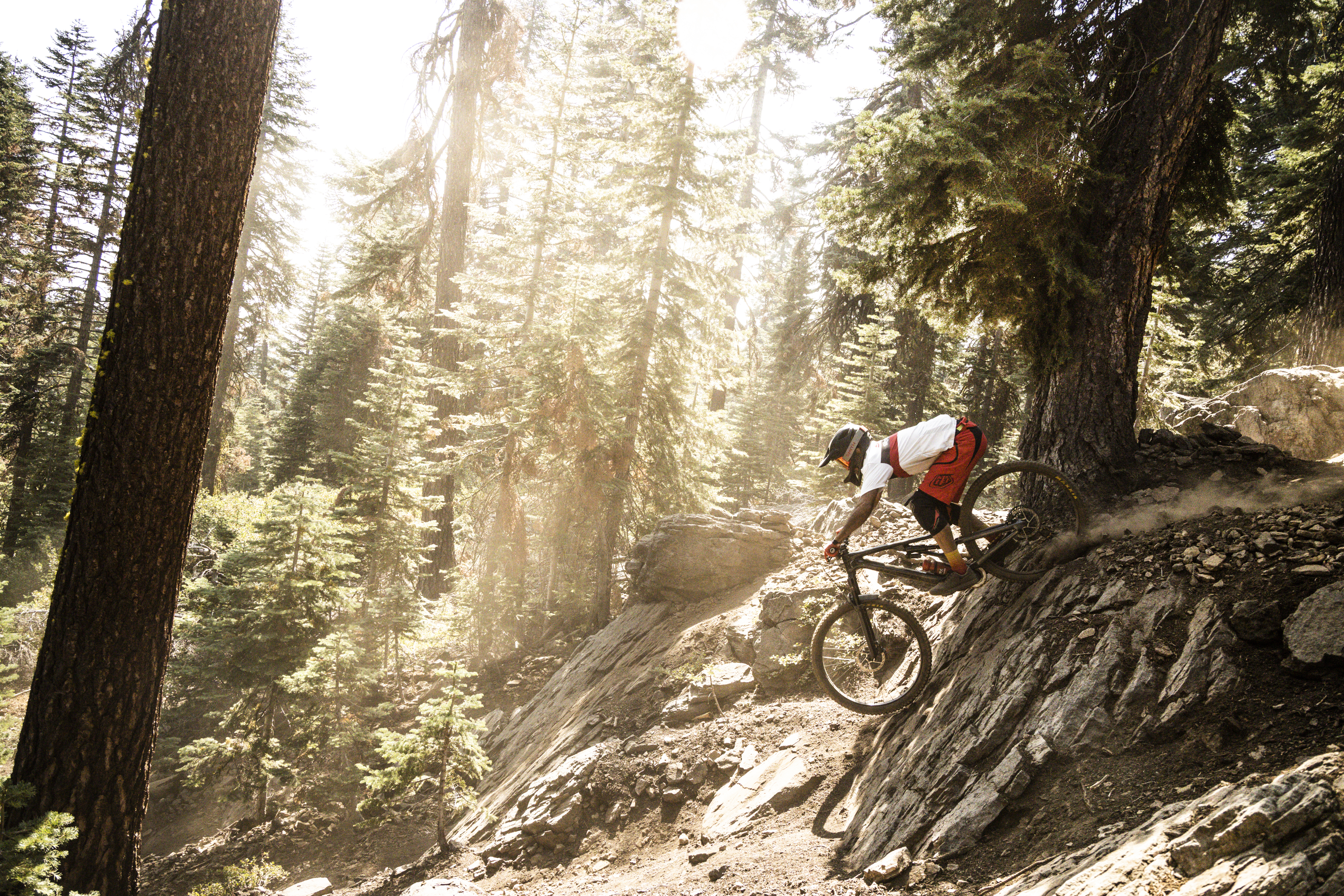 Mountain biking down rocks in the woods on a summer day 