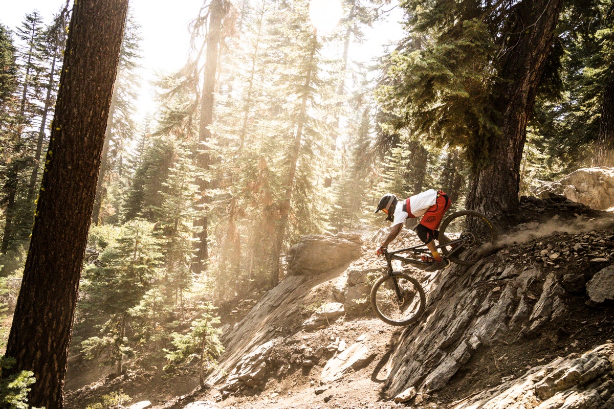 Mountain biking down rocks in the woods on a summer day