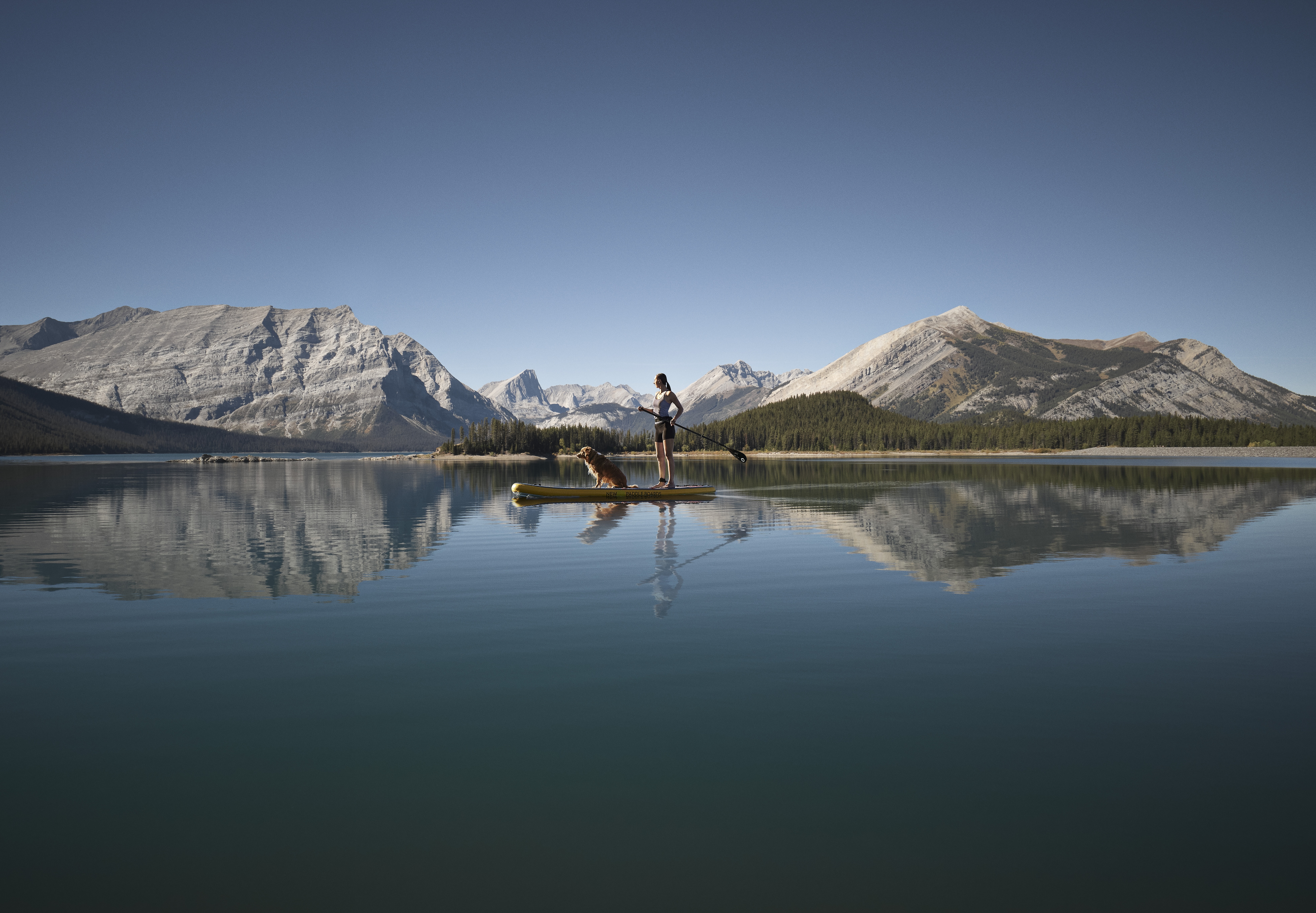 Person paddleboarding with dog on their paddleboard