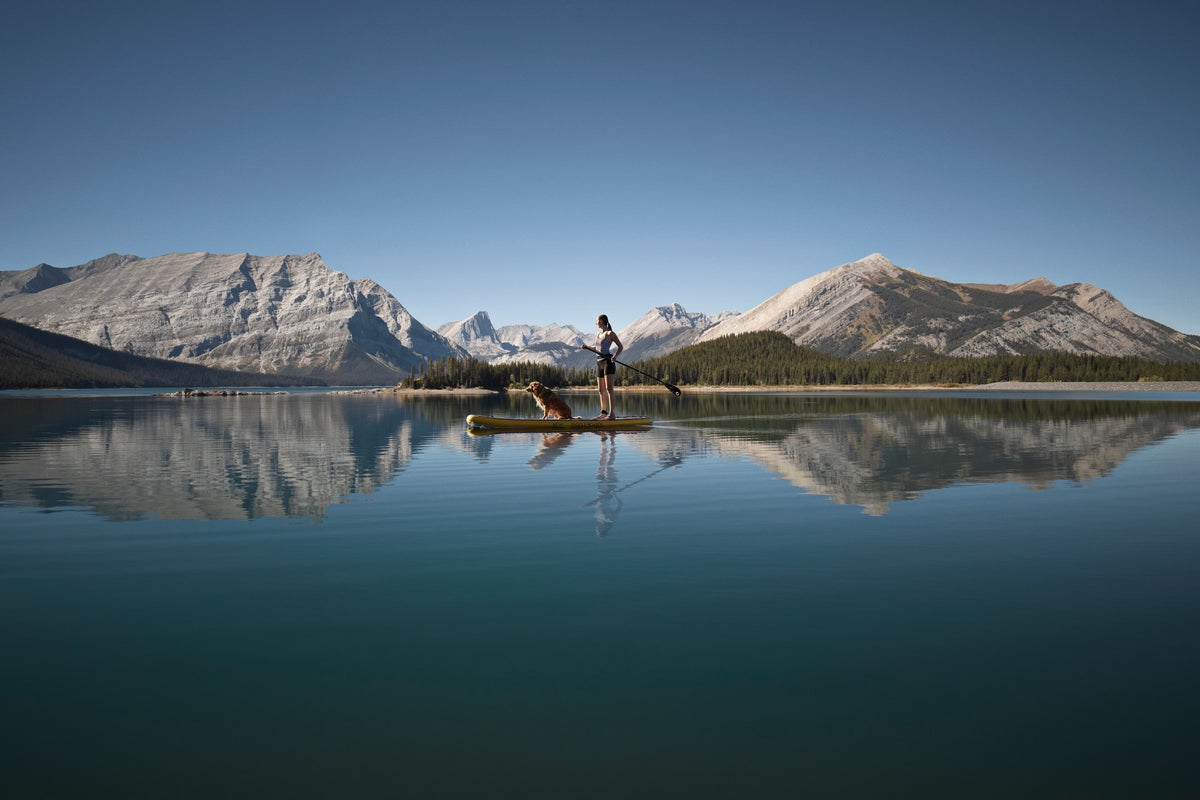 Person paddleboarding with dog on their paddleboard