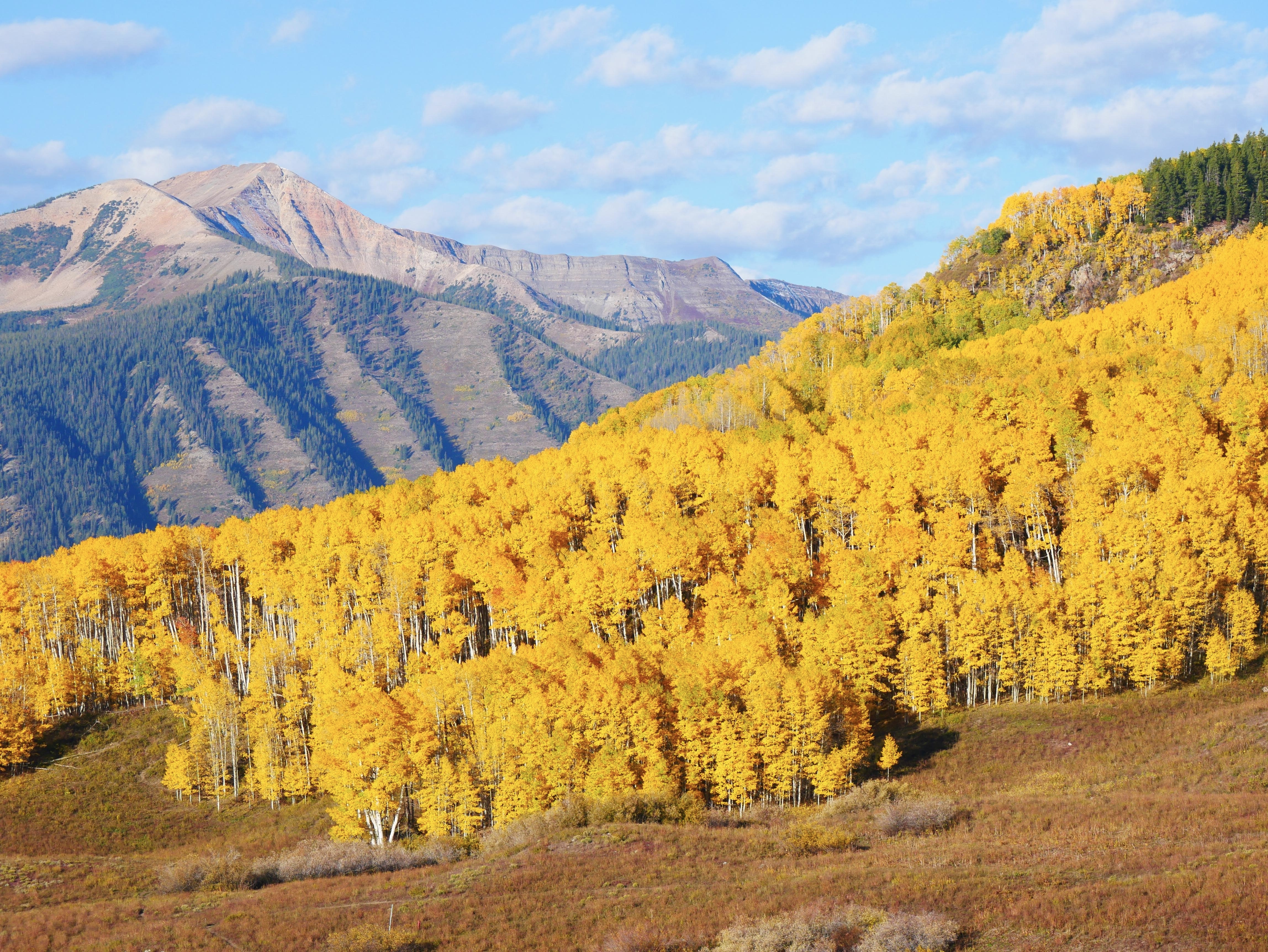 Crested Butte fall colors