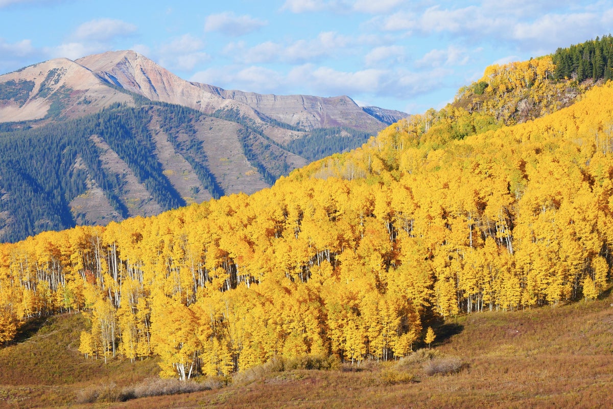 Crested Butte fall colors