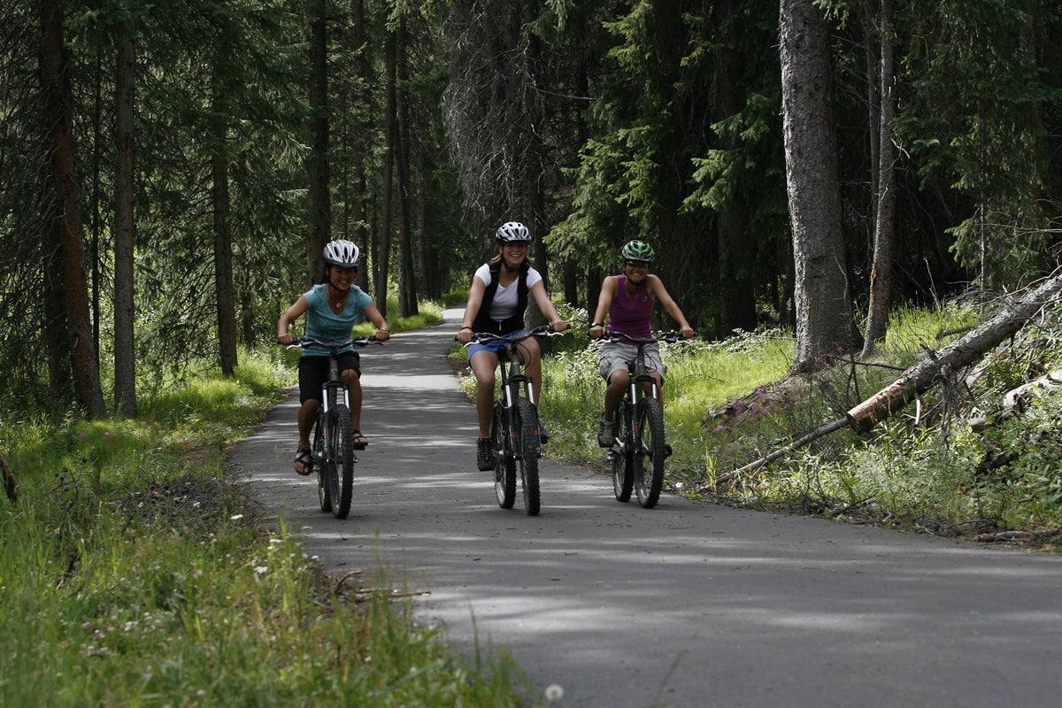 Three people bicycling on a paved trail through the woods.
