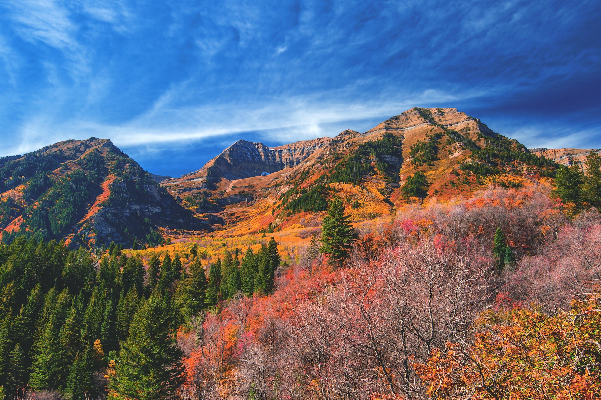 Fall colors near Sundance, Colorado