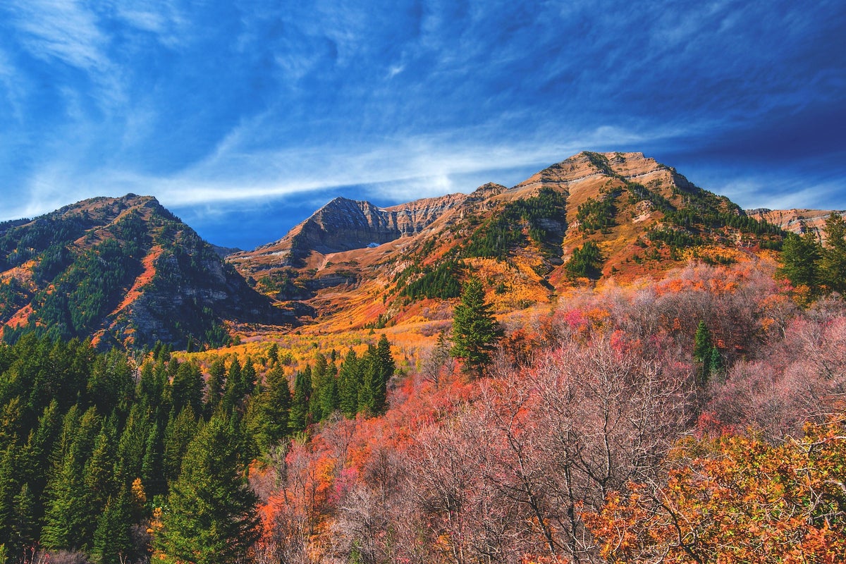 Fall colors near Sundance, Colorado