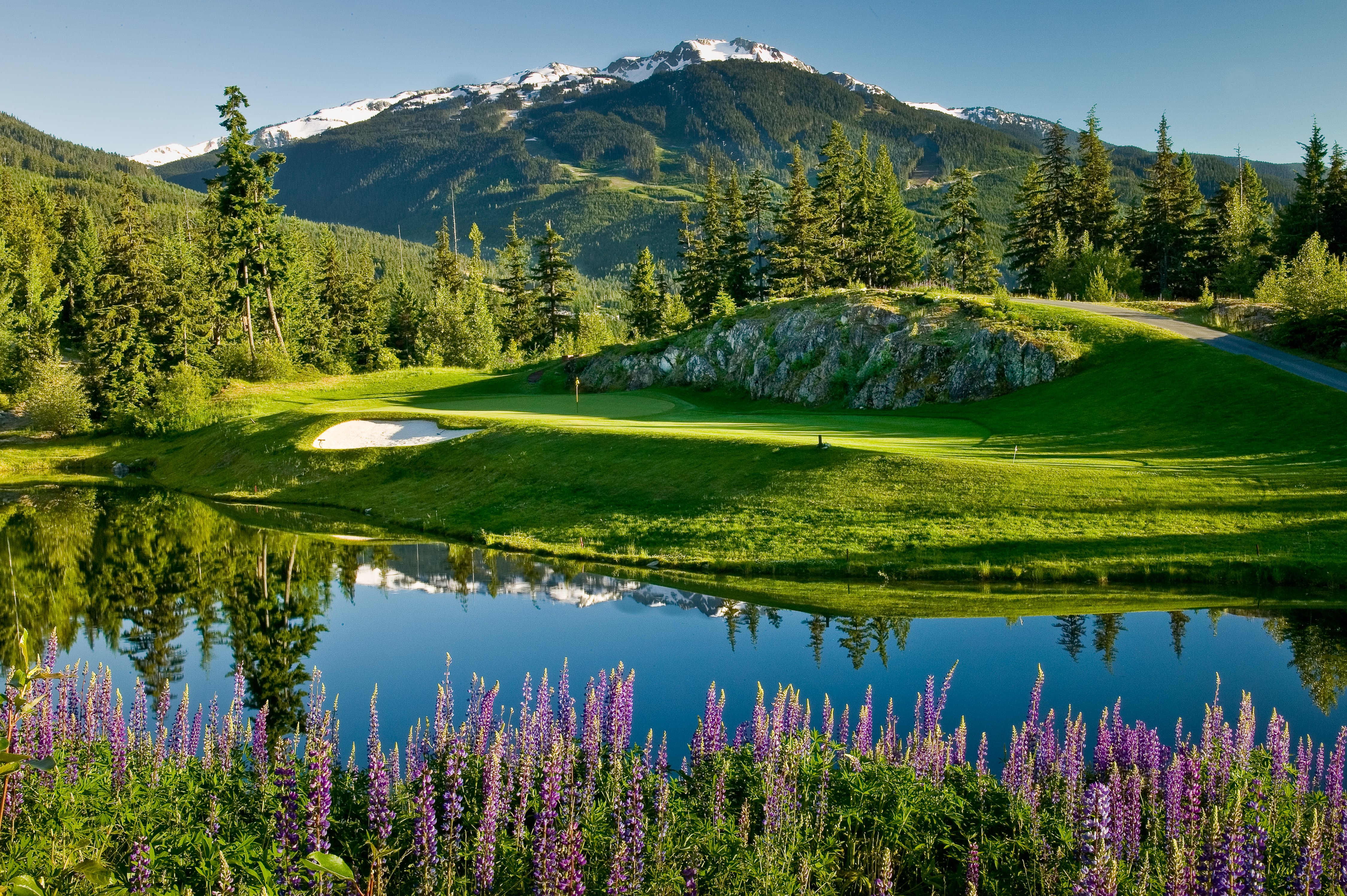 Reflection off pond at Fairmont Chateau Whistler golf course on sunny day