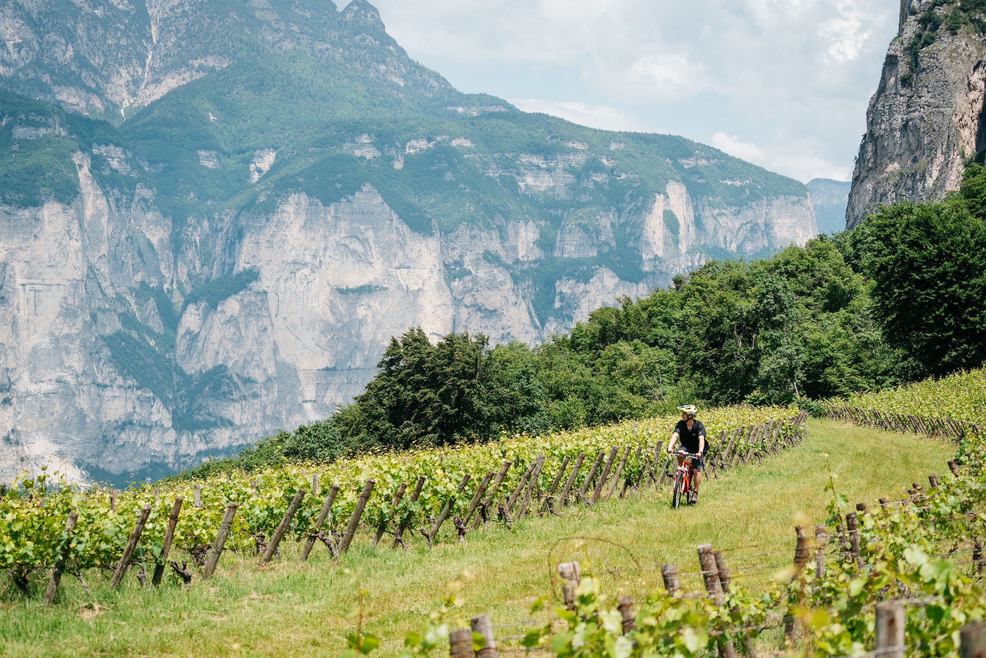 Trentino di primavera: tra vigneti e cantine, la montagna si scopre a ritmo lento