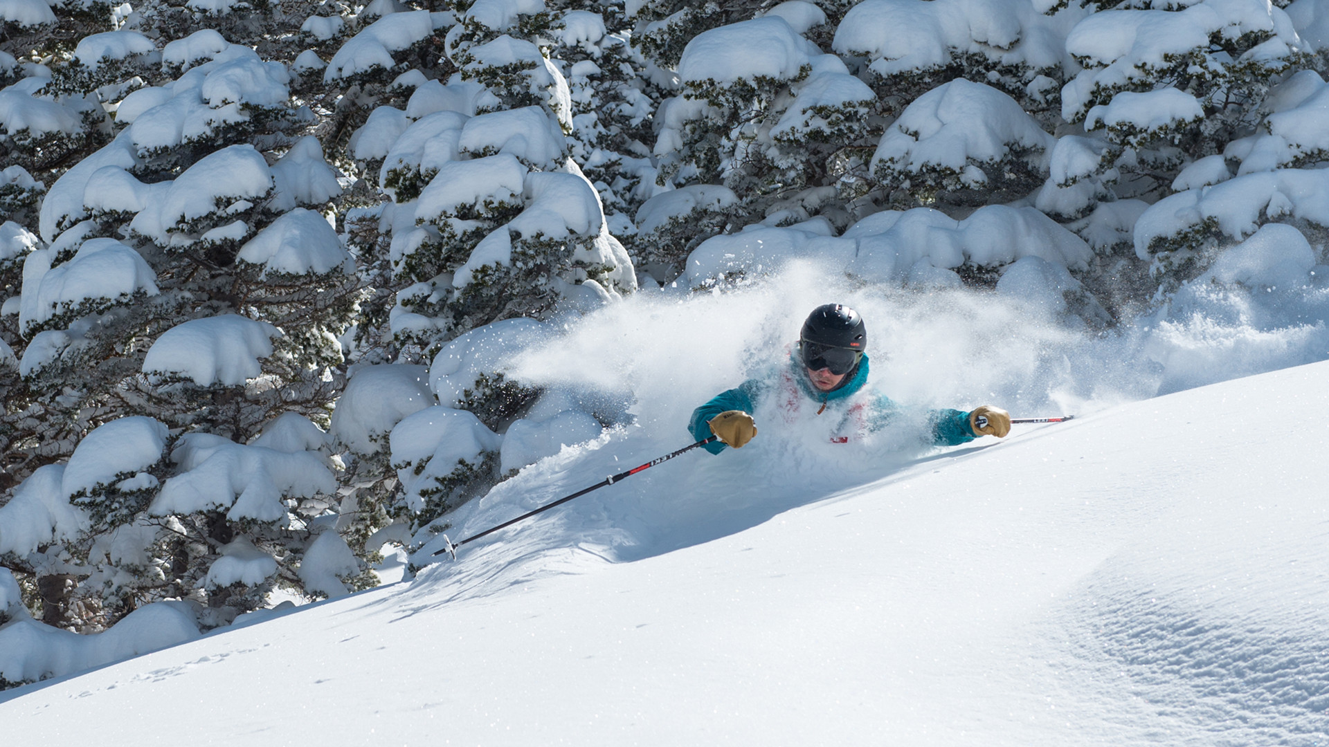 Person skiing through powder next to trees on a powder skiing day