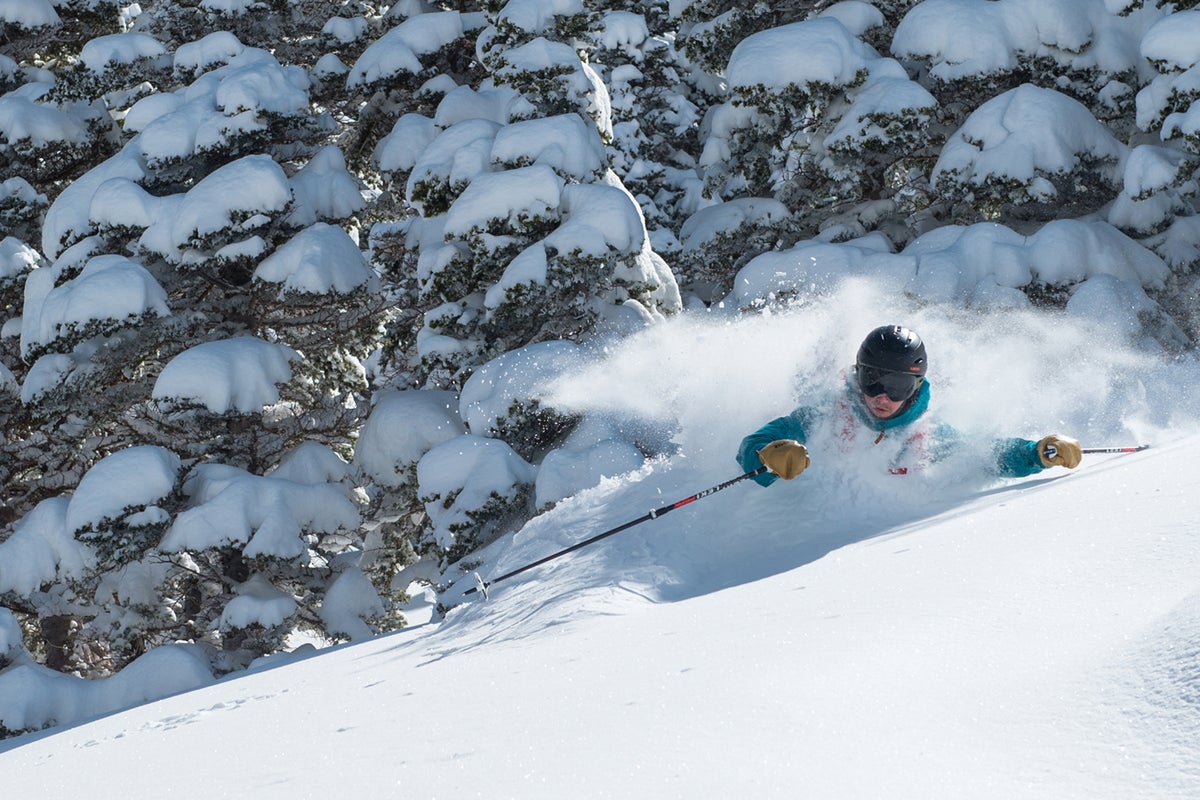 Person skiing through powder next to trees on a powder skiing day