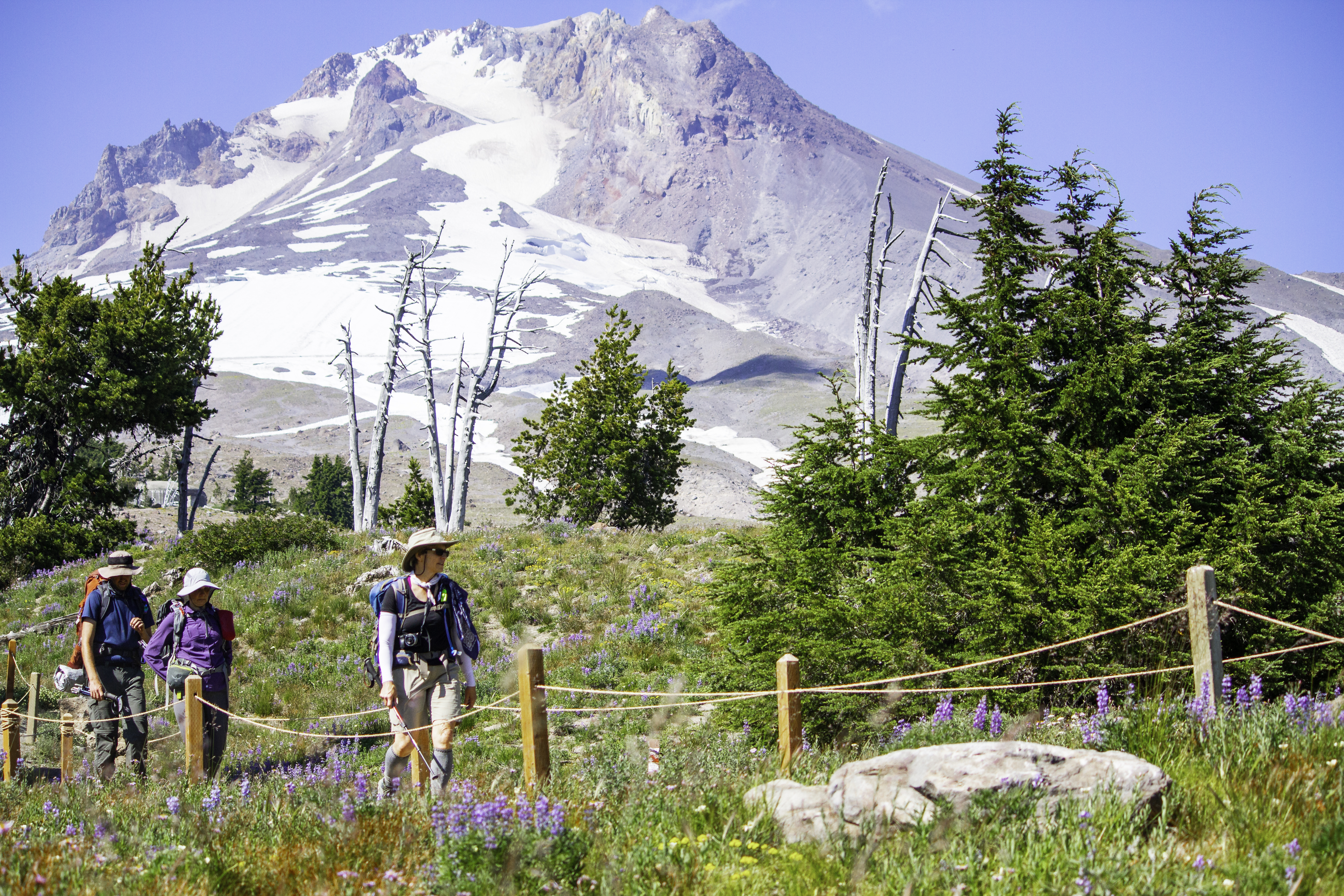 The Best Volcano Hikes in the U.S.