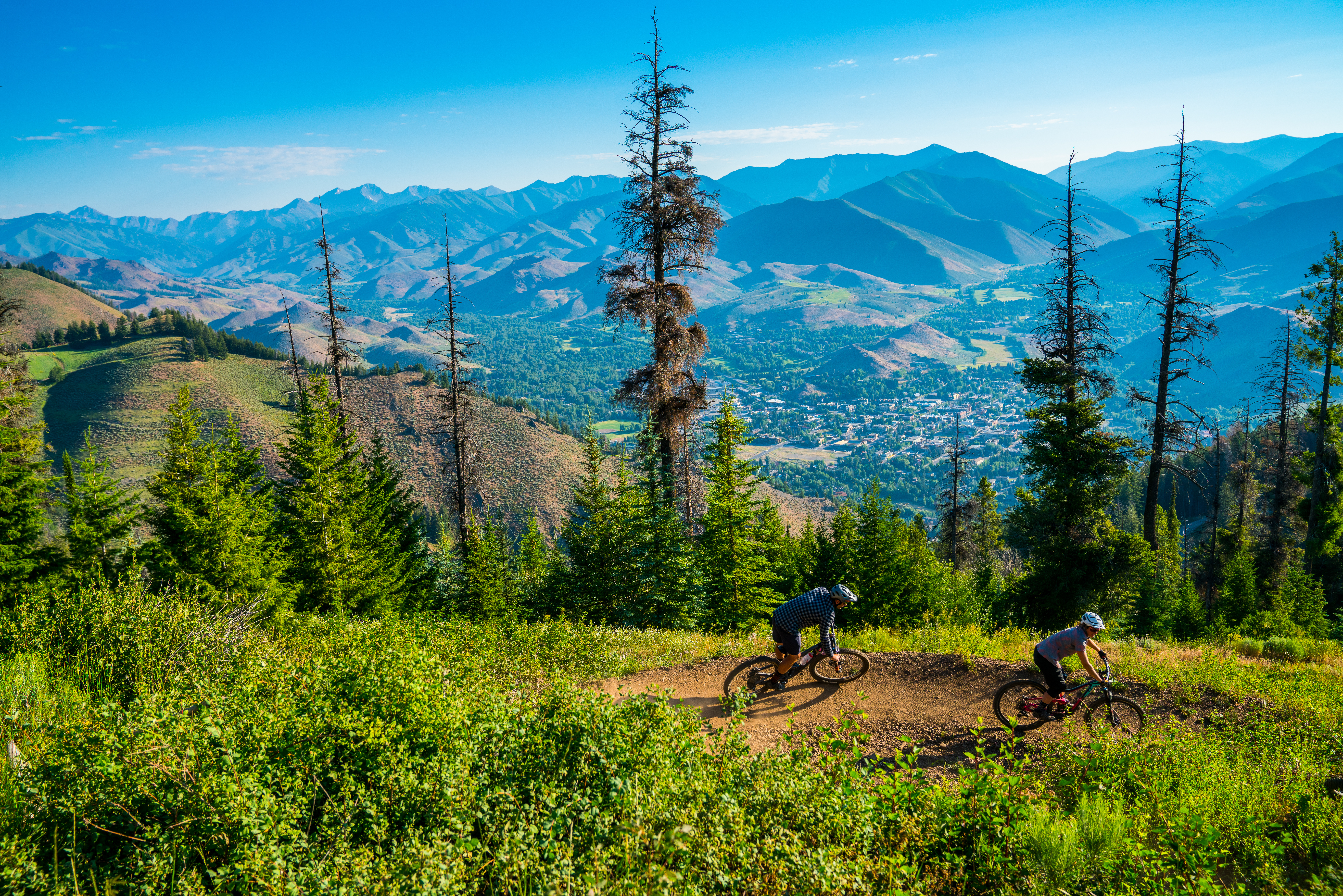 Two people biking on trail alongside lush trees