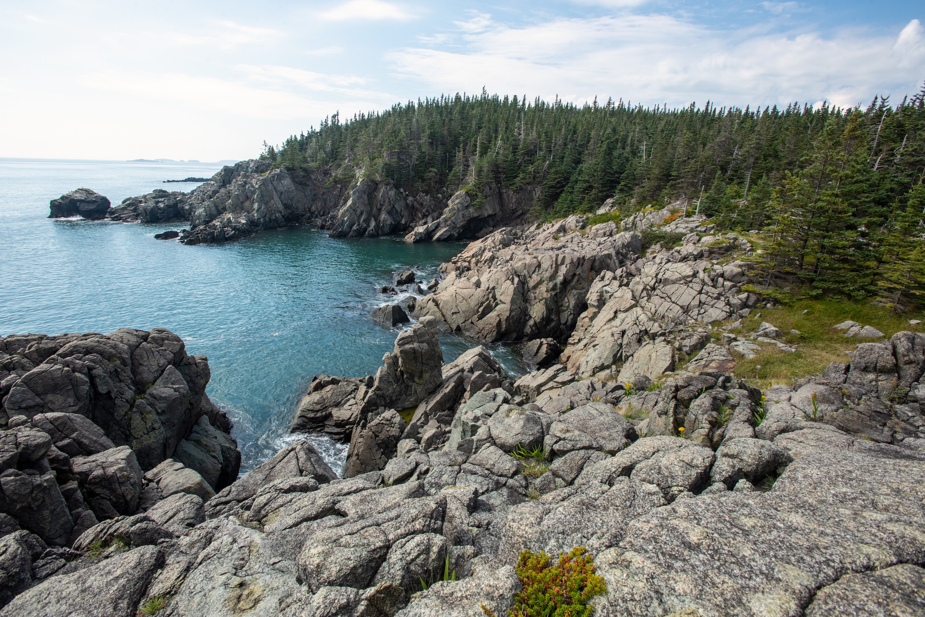 Overlooking craggy cliffs near Cutler, Maine