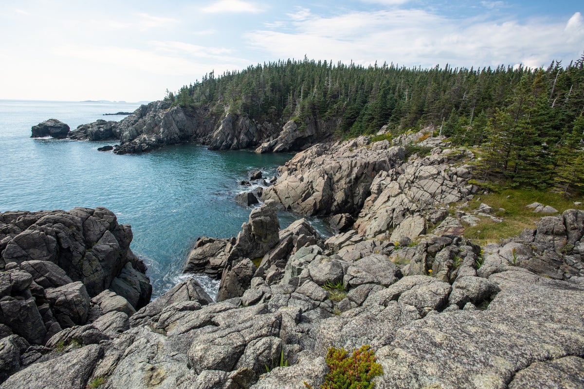 Overlooking craggy cliffs near Cutler, Maine