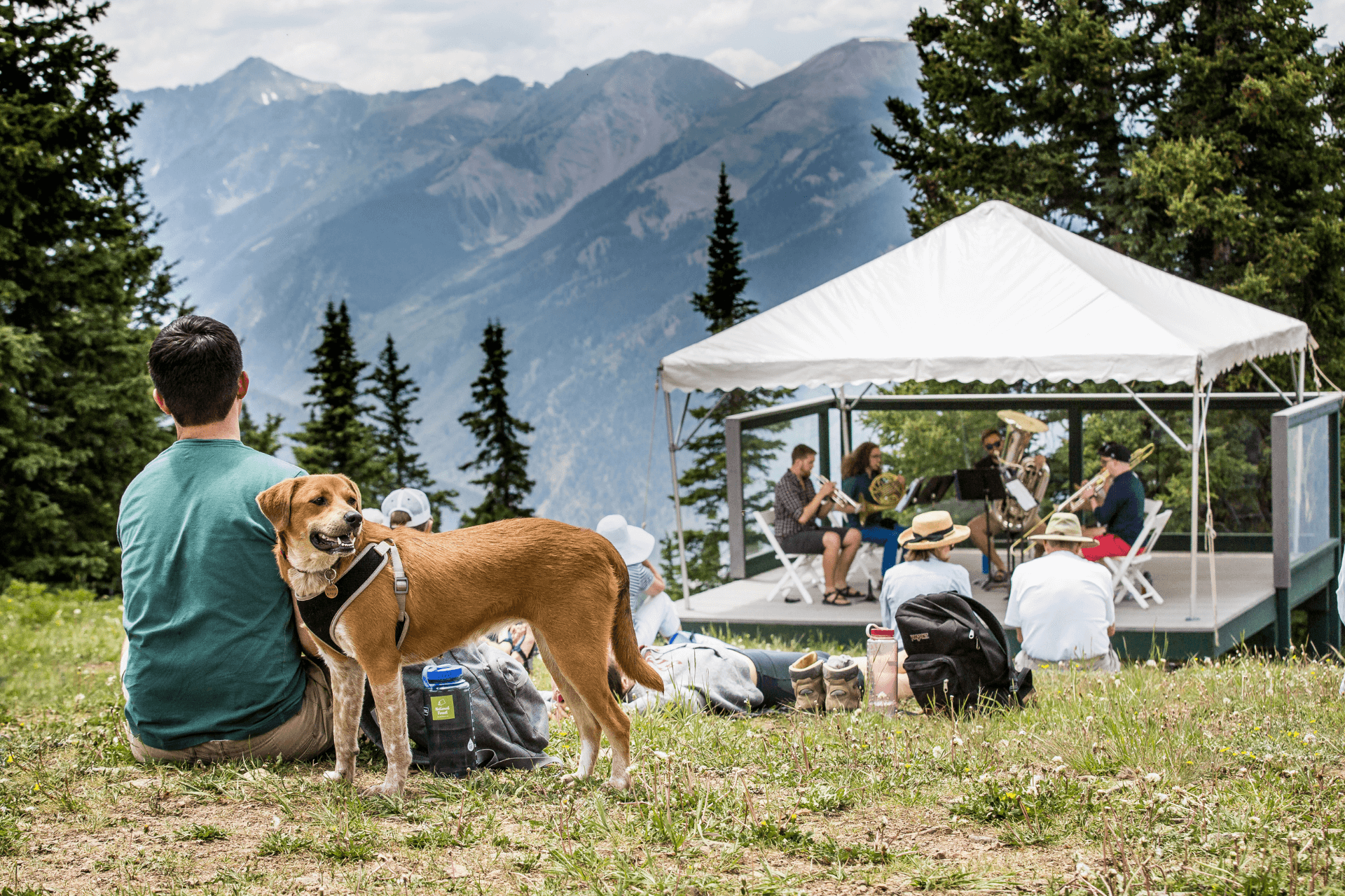 Person and dog enjoying live music at top of mountain