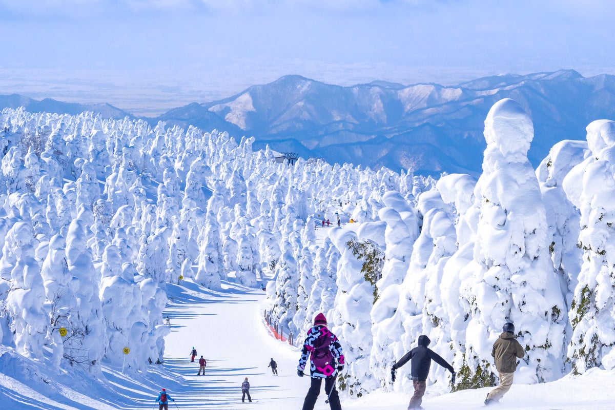 Zao-onsen Ski Resort Yamagata Japan.