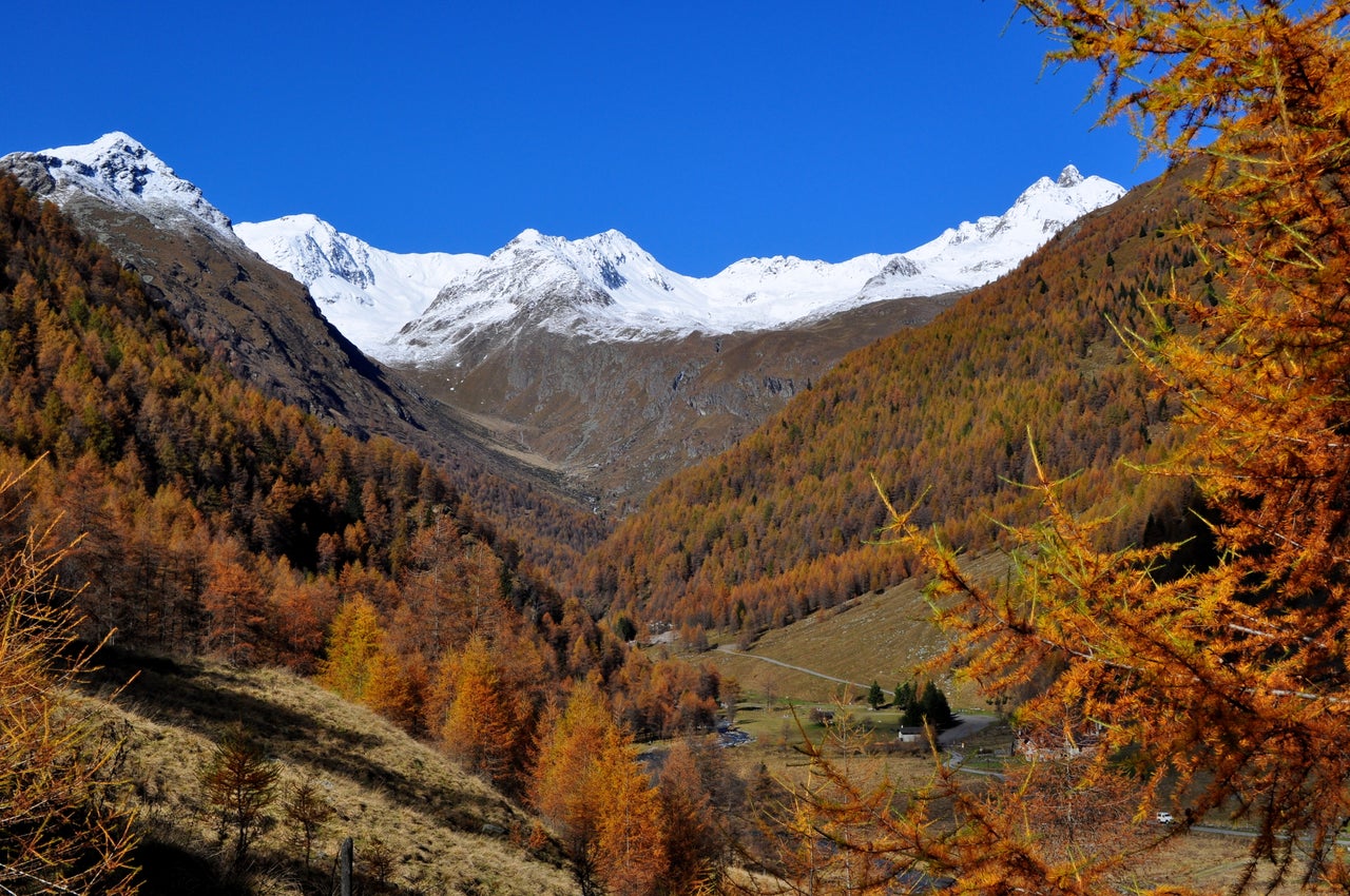 Bramiti e colori: l’autunno selvaggio di Pontedilegno-Tonale