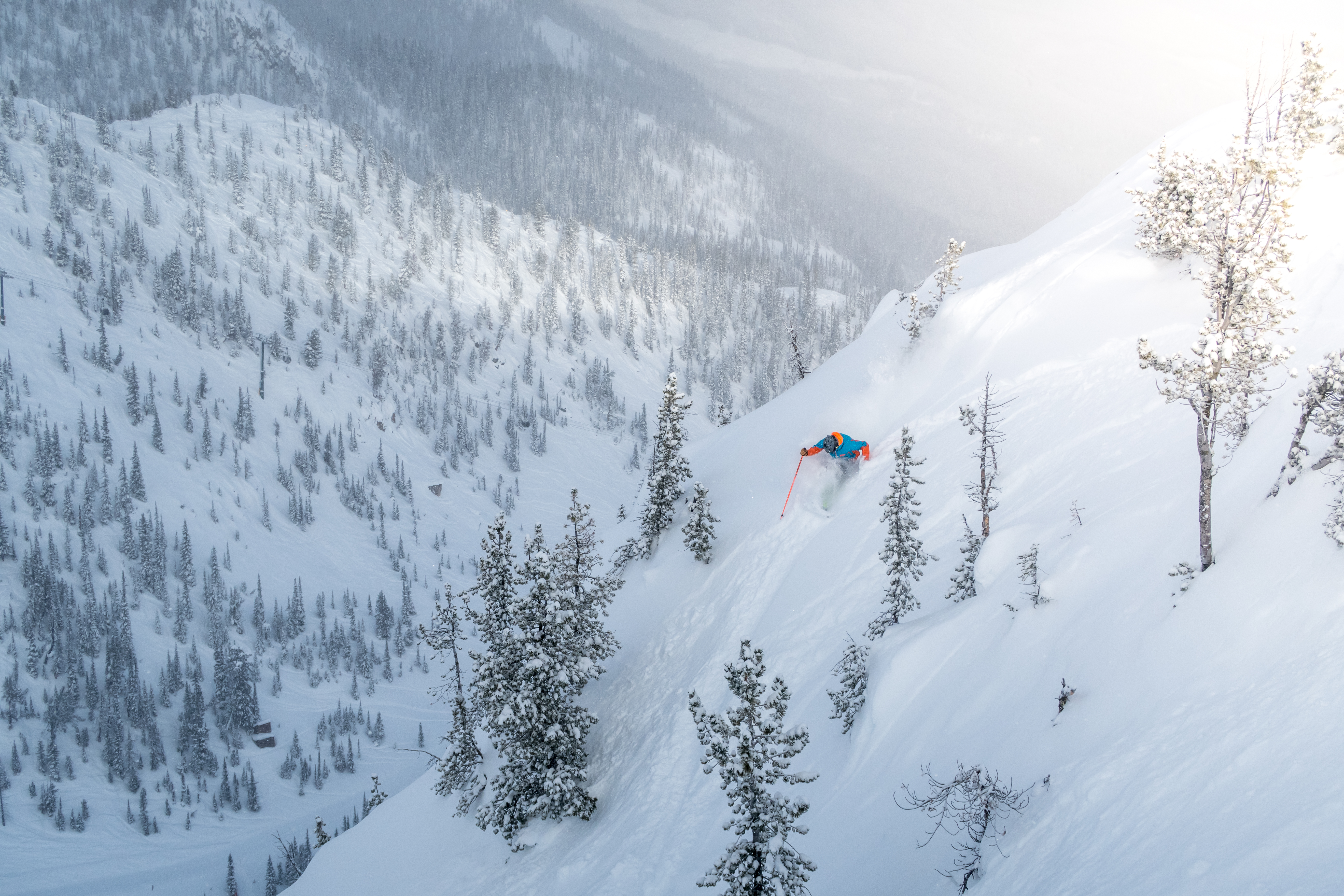 Skiing between trees in deep powder at Kicking Horse 