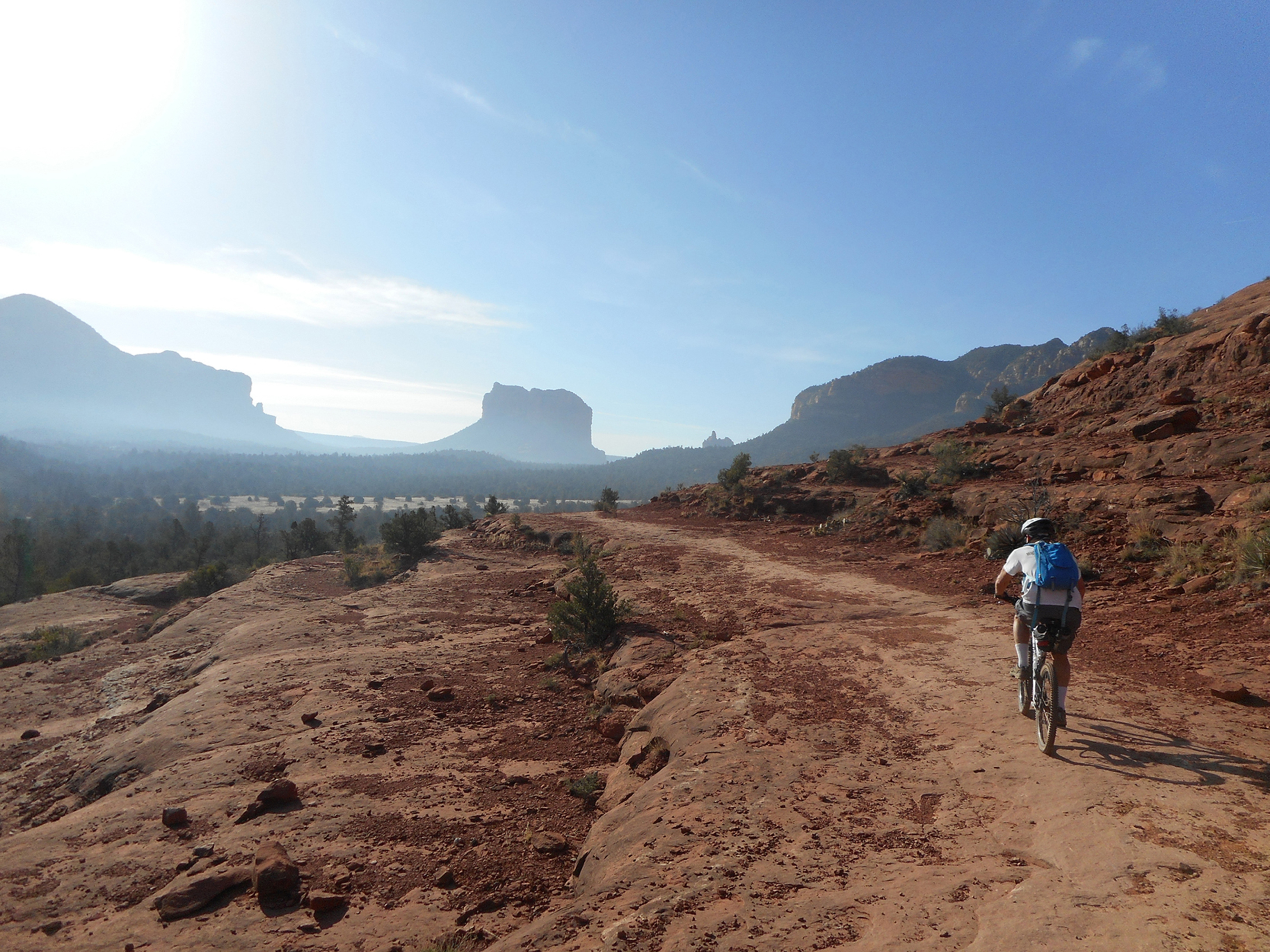 Person biking through desert landscape on a sunny day