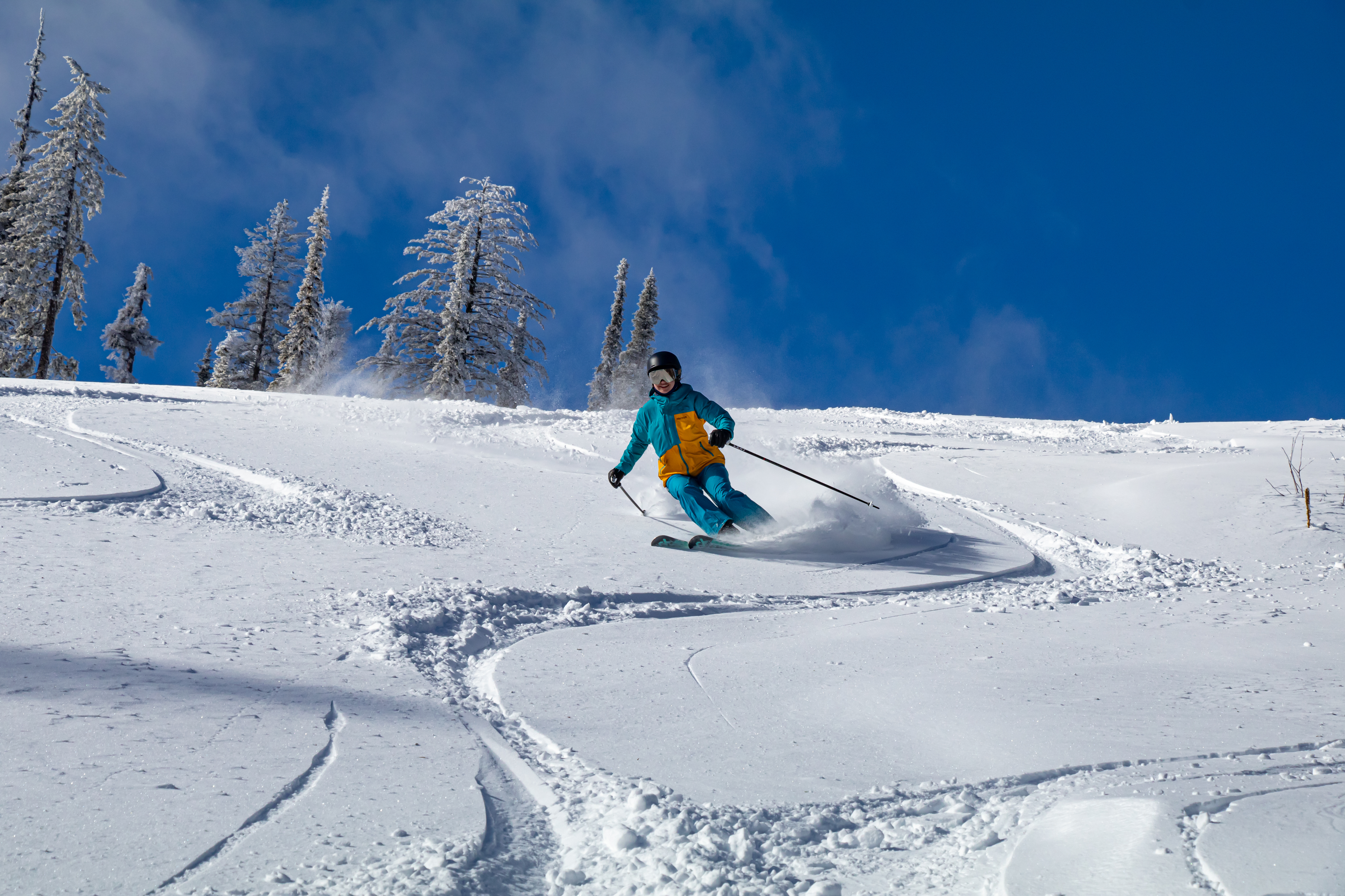 Person skiing through powder on a bluebird day