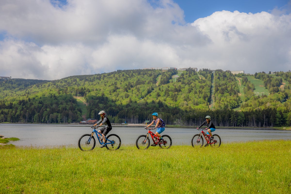 Group of people biking alongside lake on a summer day