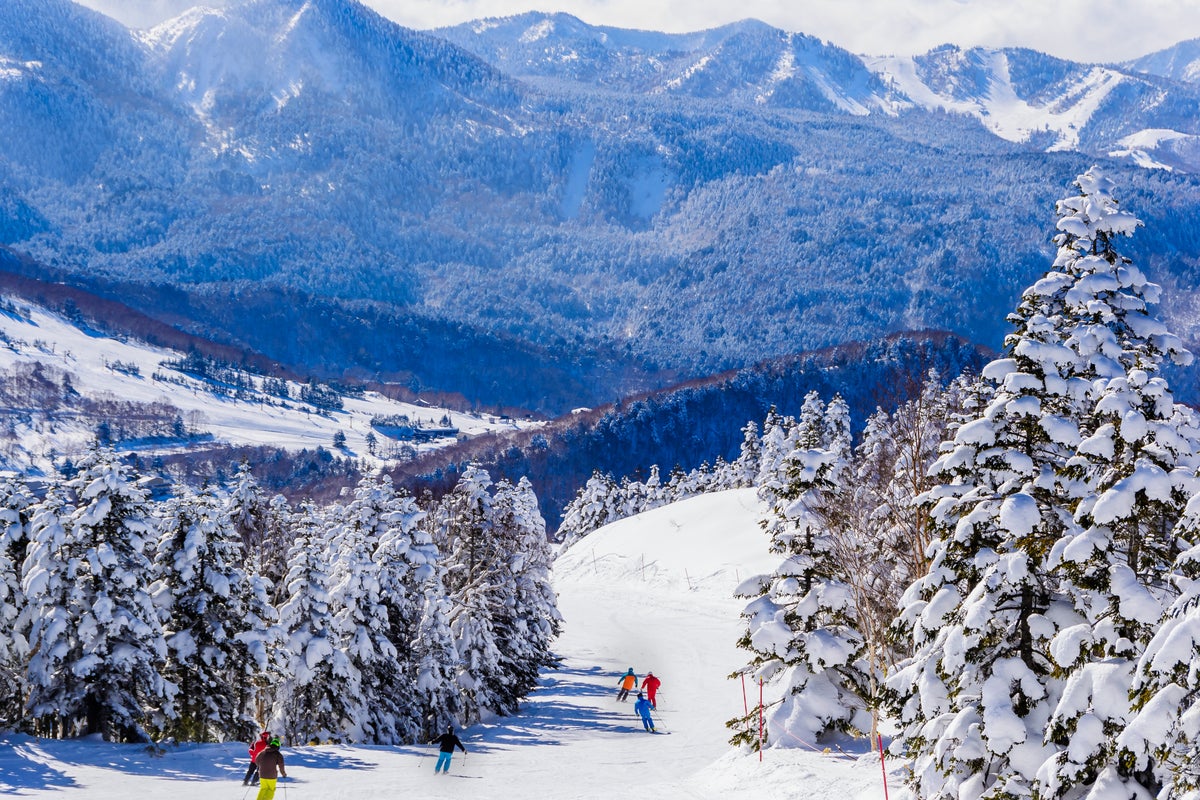 Shiga Kogen Ski Area Japan.