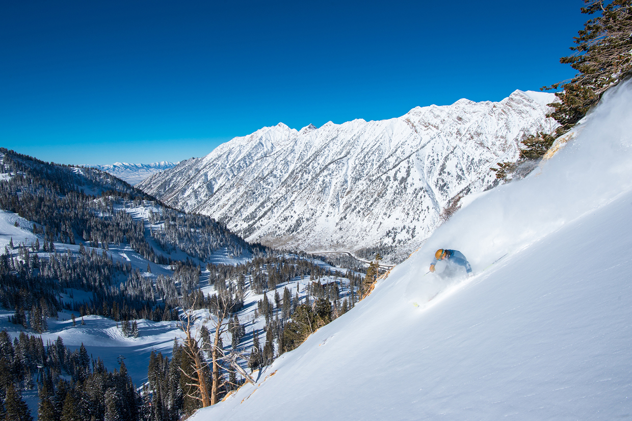 Skiing through powder on a bluebird day at Snowbird Resort