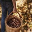 In Trentino, l’autunno è molto più che una stagione: è un invito a rallentare, gustare e scoprire. Dal 6 ottobre all’8 novembre, i borghi montani si trasformano in scenografie vive e profumate, dove la cultura contadina incontra la cucina autentica. Castagne, patate, zucche, formaggi, vino e specialità locali tornano protagonisti tra mercatini, stand gastronomici e

