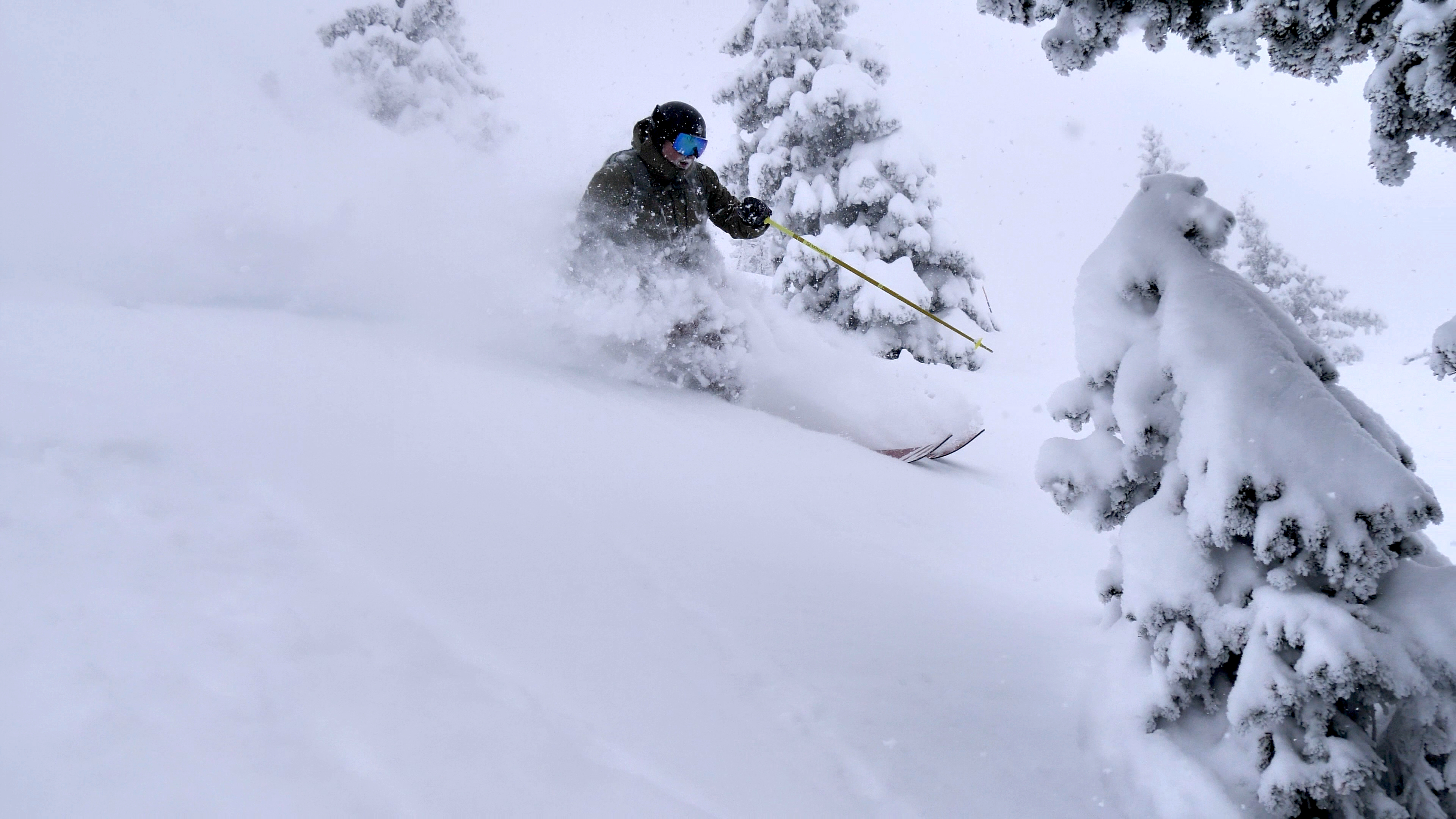 Skiing through trees on fresh snow at Bridger Bowl Ski Resort
